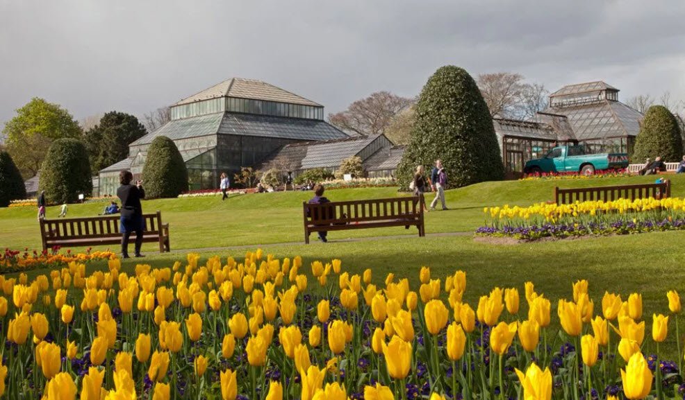 Glasgow Botanic Gardens, United Kingdom